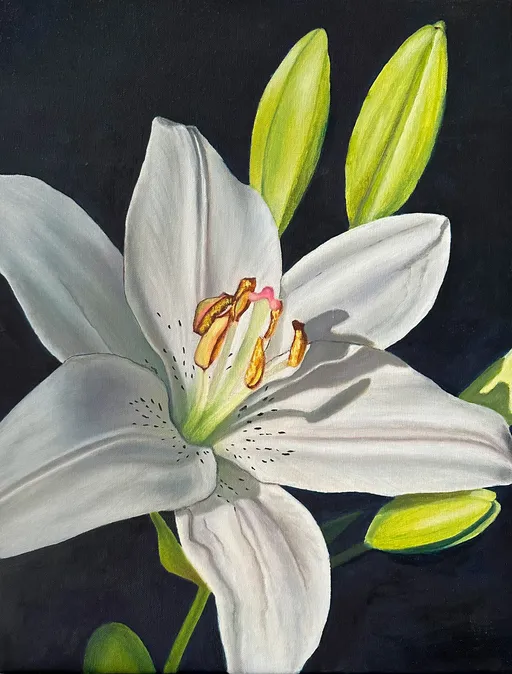 Beautiful lily